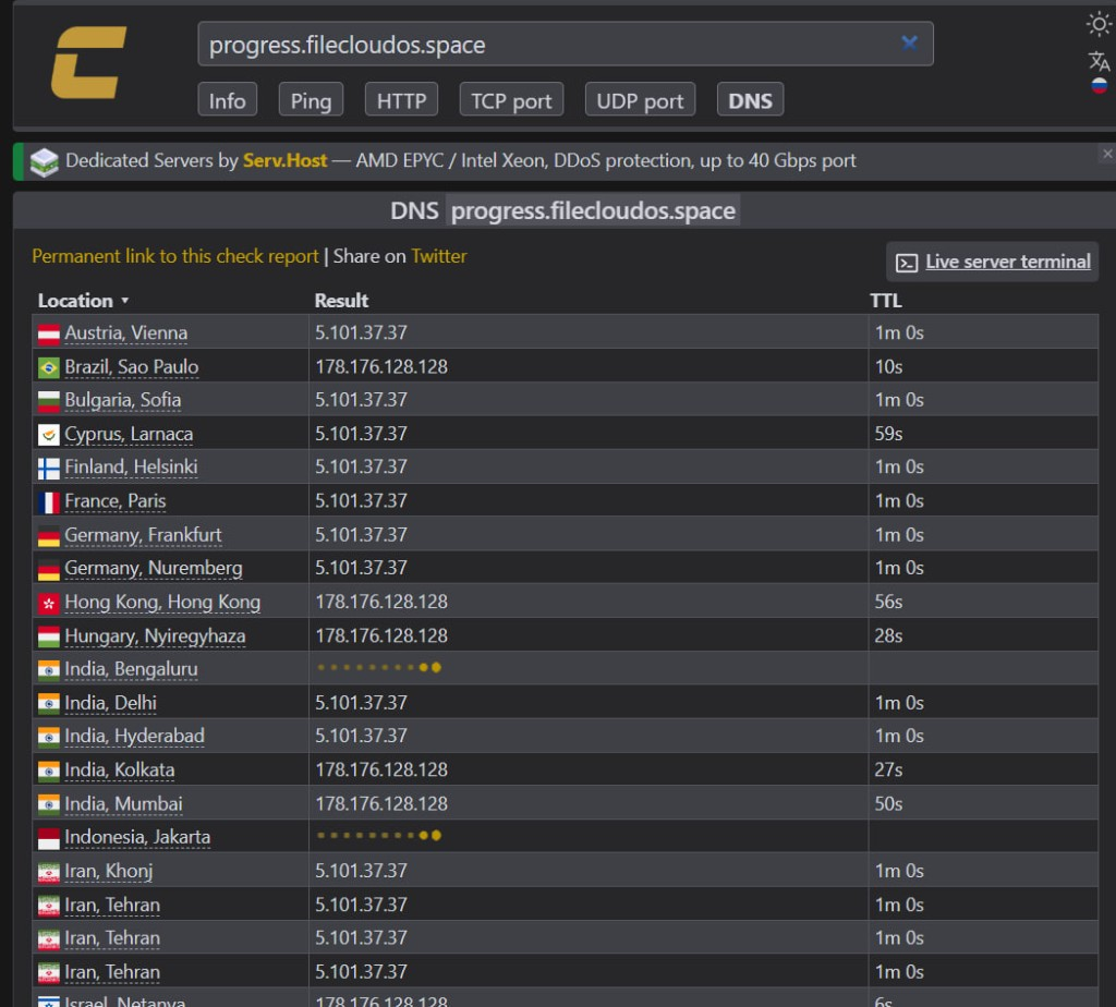 check-host по CDN-домену → резолвится в IP VK Cloud